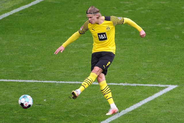 展现其无与 展现其无与