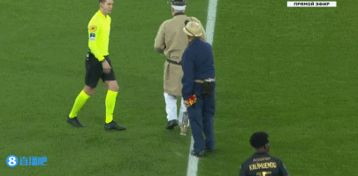 特写停在弹 特写停在弹